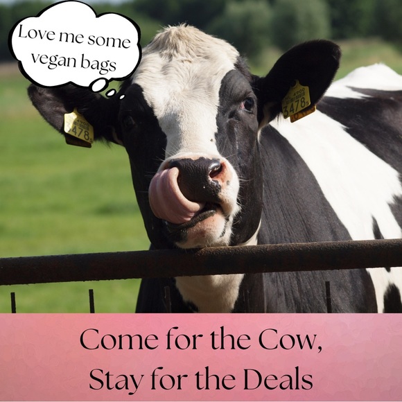 SUMMER CLEARANCE BUNDLE 2+ BOGO FREE - Picture 13 of 16